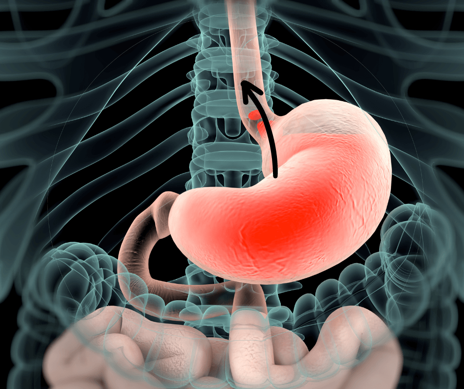 gastroenterology