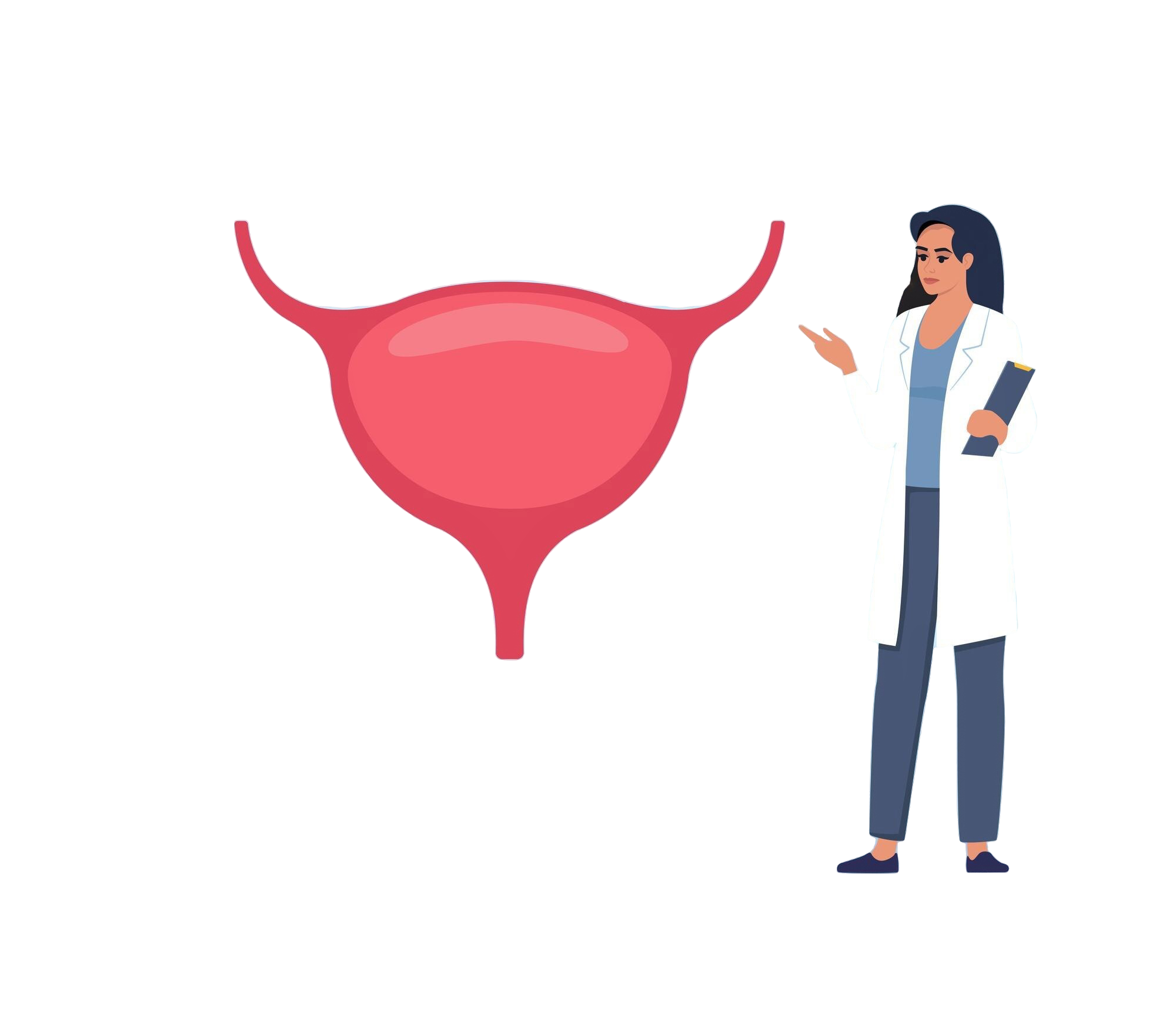 Gallbladder