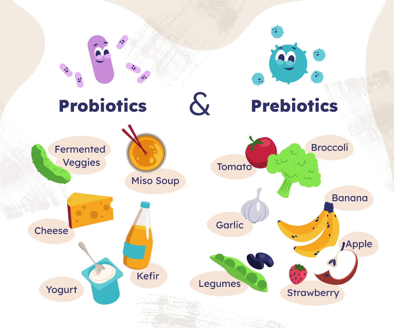 Probiotics vs Prebiotics: Complete Guide to Gut Health Benefits